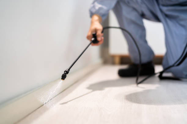 Certified termite inspector examining foundation in Franklin